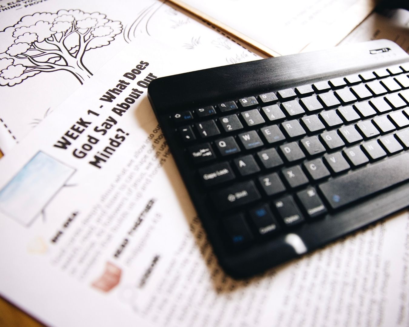 Unit Study: Screen Time With Wisdom - Making Wise Choices in a Digital World - Image 4